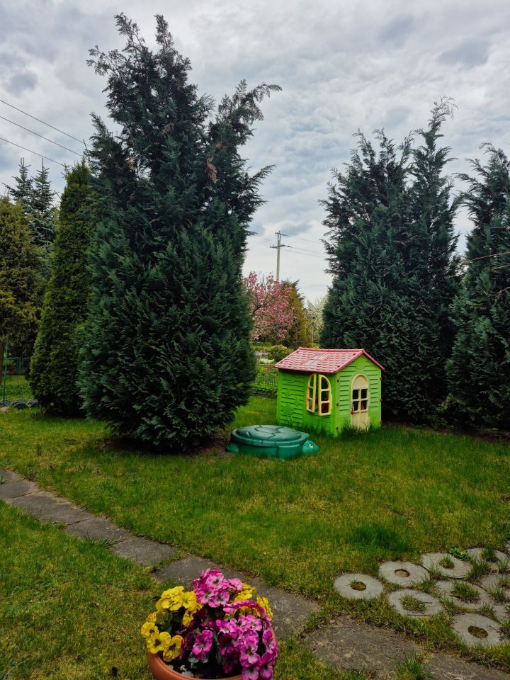 Działka rod Zgierz. Zdjęcie 6