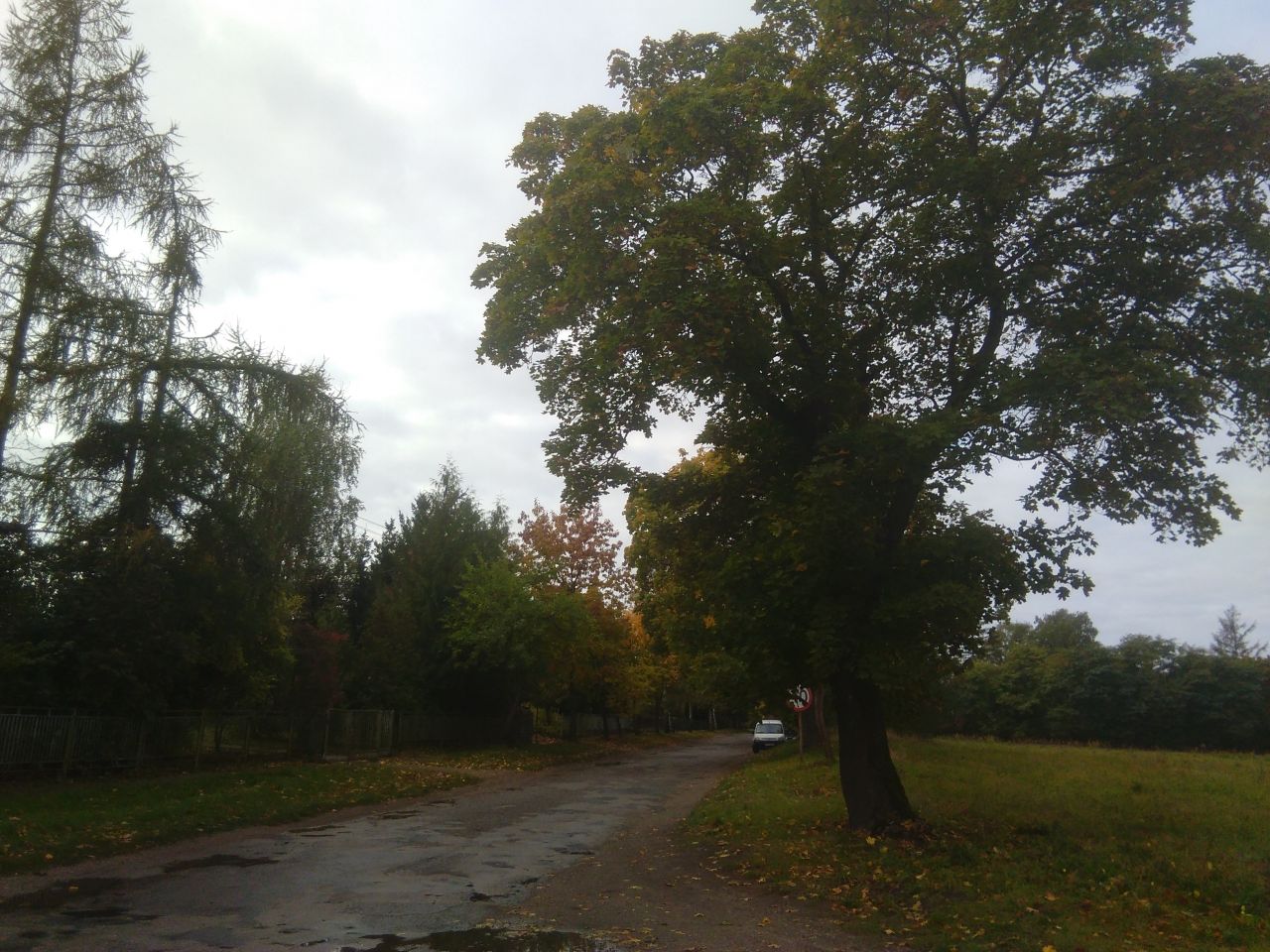 Działka rolno-budowlana Mostkowo. Zdjęcie 7