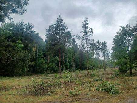 Działka rolno-budowlana Sobień. Zdjęcie 1