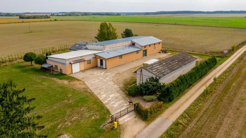 Hala/magazyn Topolany. Zdjęcie 7