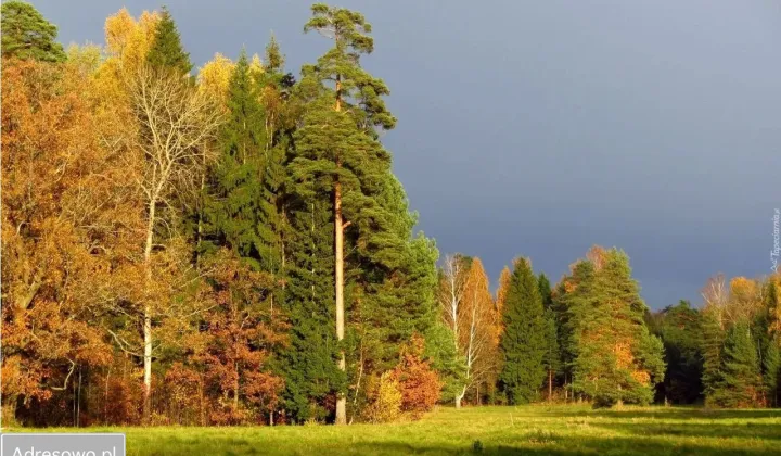 Działka rolno-budowlana Zendek