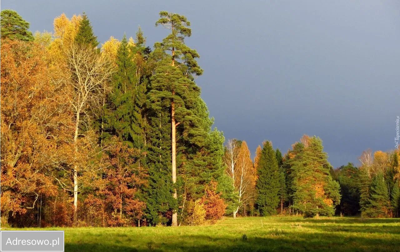 Działka rolno-budowlana Zendek. Zdjęcie 1