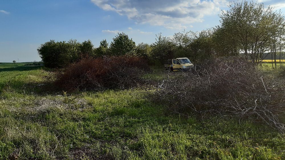 Działka rolna Chycza-Brzóstki. Zdjęcie 3