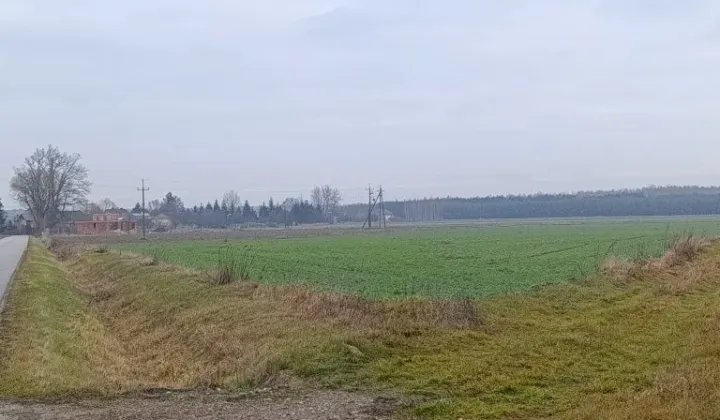 Działka rolno-budowlana Kisiele