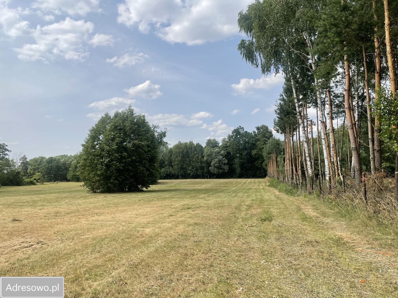 Działka rolno-budowlana Michałów. Zdjęcie 5