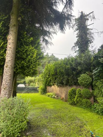 Działka rekreacyjna Jagodowo osada leśna, ul. Zimowa. Zdjęcie 7