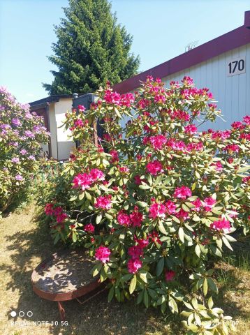 Działka rod Niekłonice. Zdjęcie 1