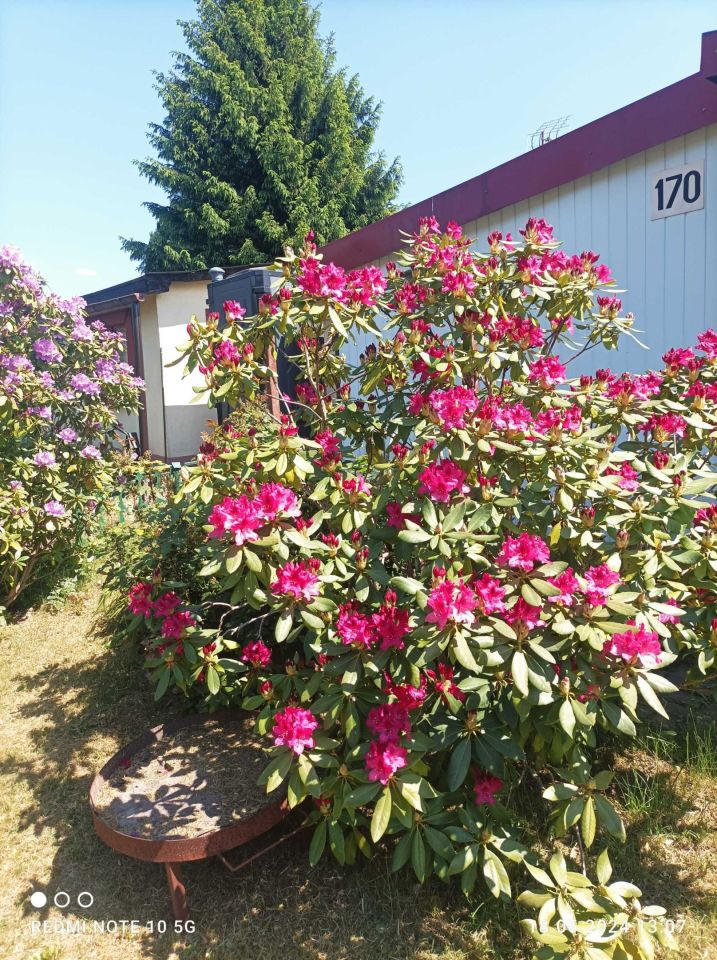 Działka rod Niekłonice