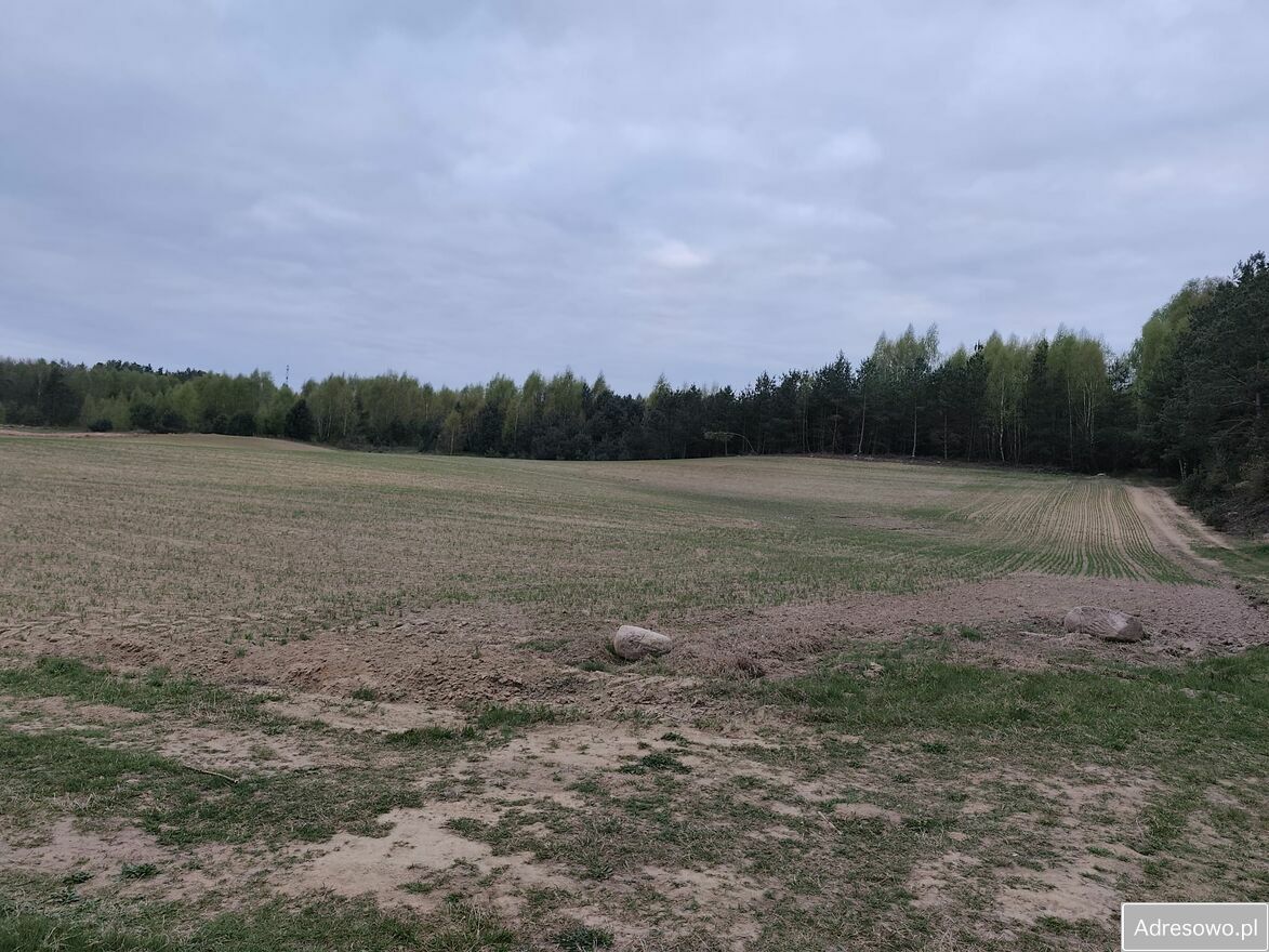 Działka rolna Graniczna Wieś, ul. Jarzębinowa. Zdjęcie 6