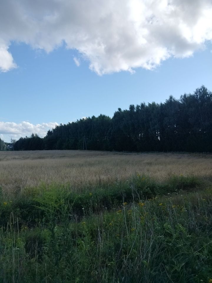 Działka rolno-budowlana Gady. Zdjęcie 5