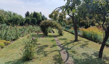 Działka rekreacyjna Pleszew, ul. Wierzbowa