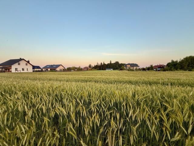 Działka budowlana Nowa Wieś. Zdjęcie 15
