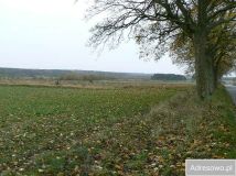 Działka rolna Mysłowice. Zdjęcie 1