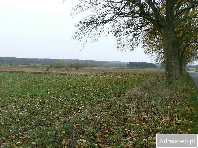 Działka rolna Mysłowice. Zdjęcie 2