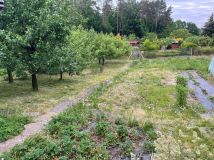 Działka rod Wójtowo. Zdjęcie 4