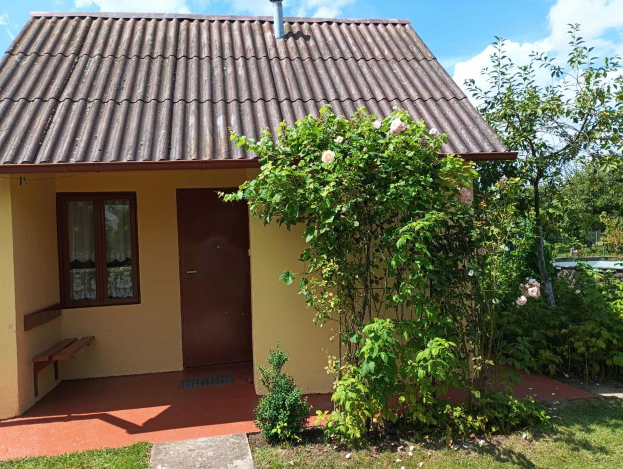 Działka rod Bełchatów, ul. Cegielniana. Zdjęcie 3