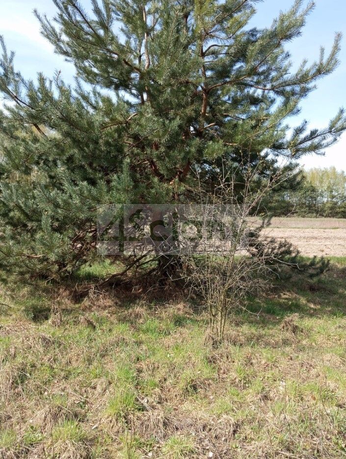 Działka budowlana Brok. Zdjęcie 2