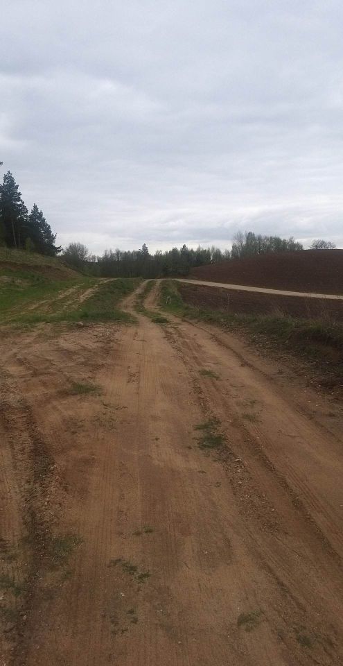 Działka rolna Dębowo. Zdjęcie 15