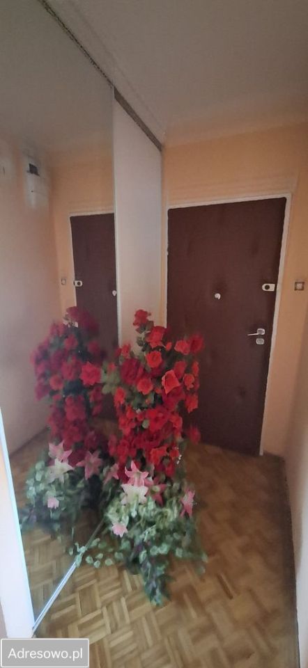 Mieszkanie 2-pokojowe Jelcz-Laskowice, ul. Ludwika Hirszfelda. Zdjęcie 9