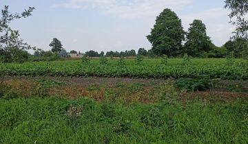 Działka budowlana Ługi Ujskie. Zdjęcie 1