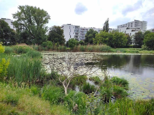 Mieszkanie 3-pokojowe Warszawa Praga, al. Stanów Zjednoczonych. Zdjęcie 26