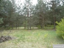 Działka rekreacyjna Wincentów. Zdjęcie 2