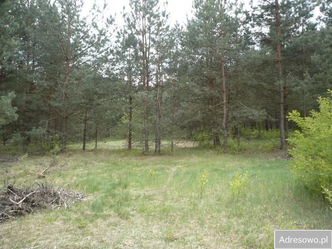 Działka rekreacyjna Wincentów. Zdjęcie 3