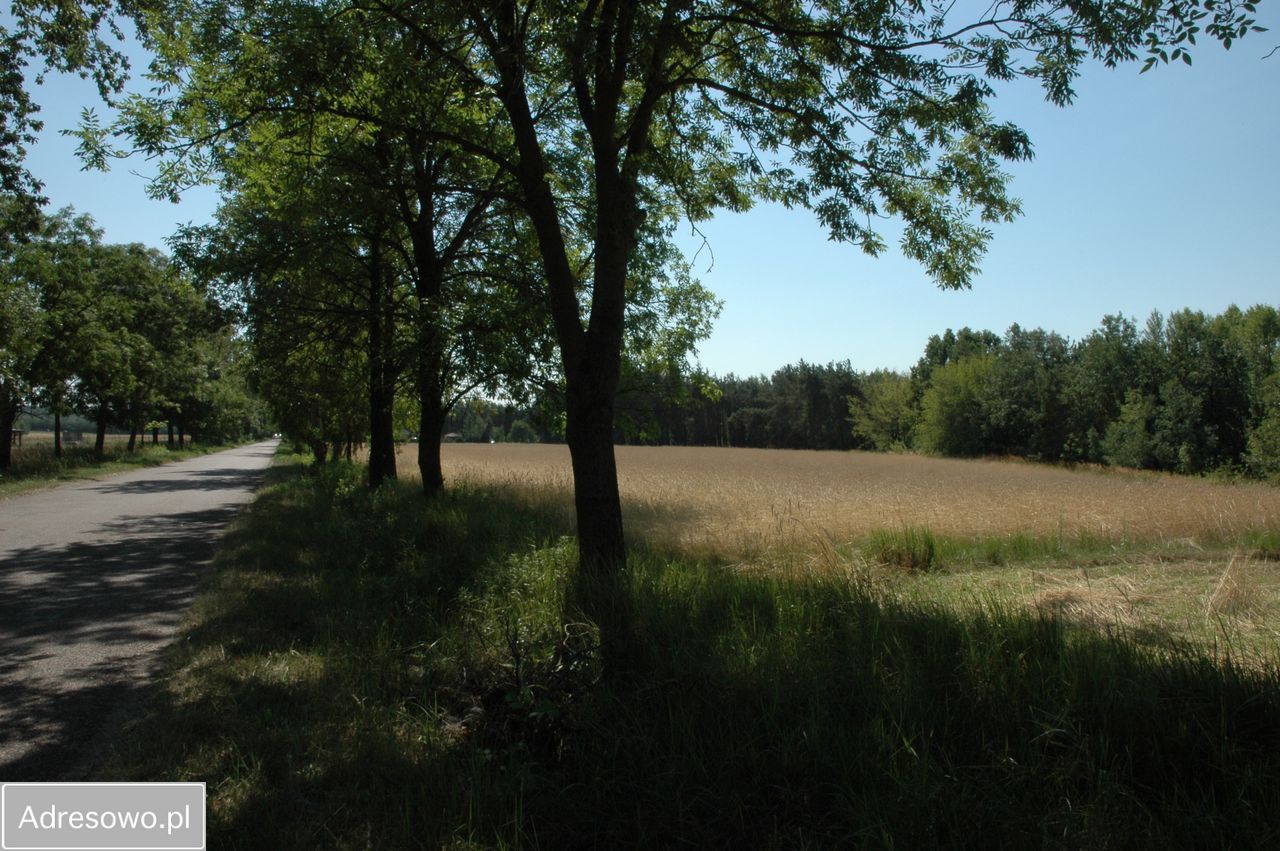 Działka Bobrownickie Pole. Zdjęcie 13