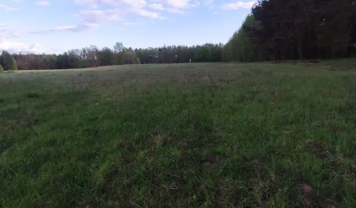 Działka rolna Kłębowiec Piława