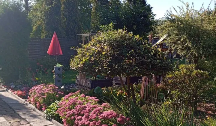 Działka rod Świętochłowice Lipiny