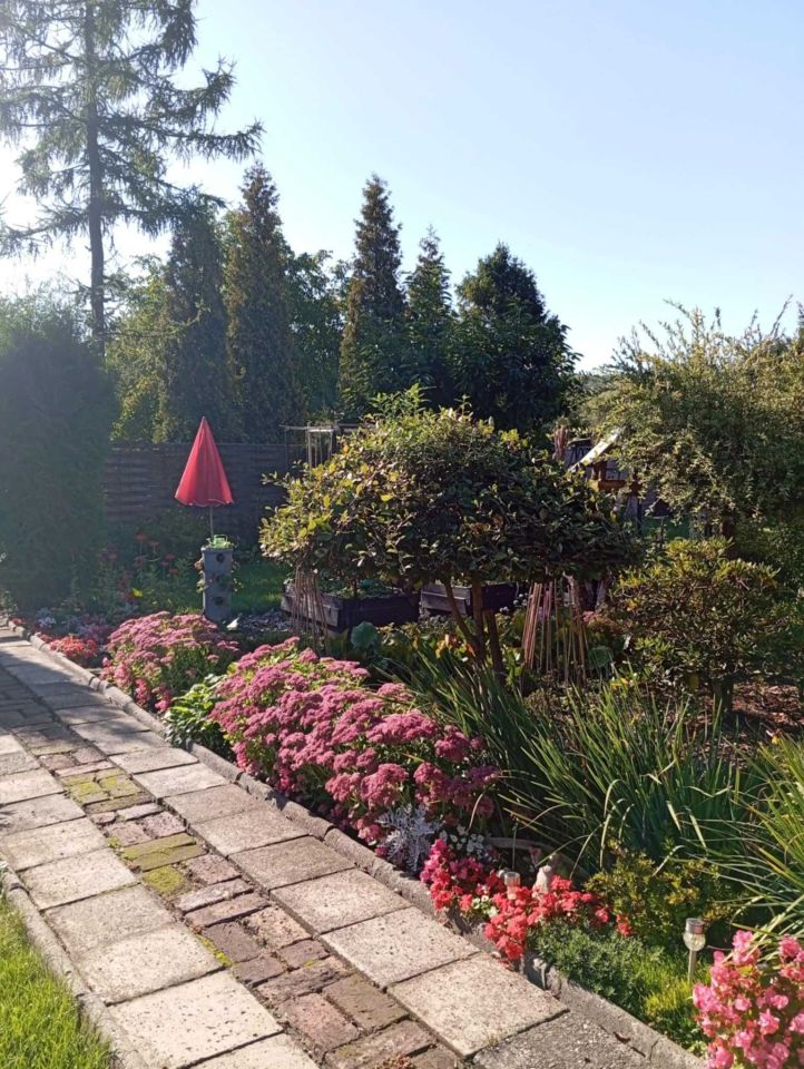 Działka rod Świętochłowice Lipiny