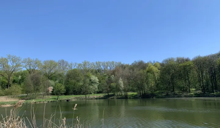 Działka rolno-budowlana Lwowiany, Glowna