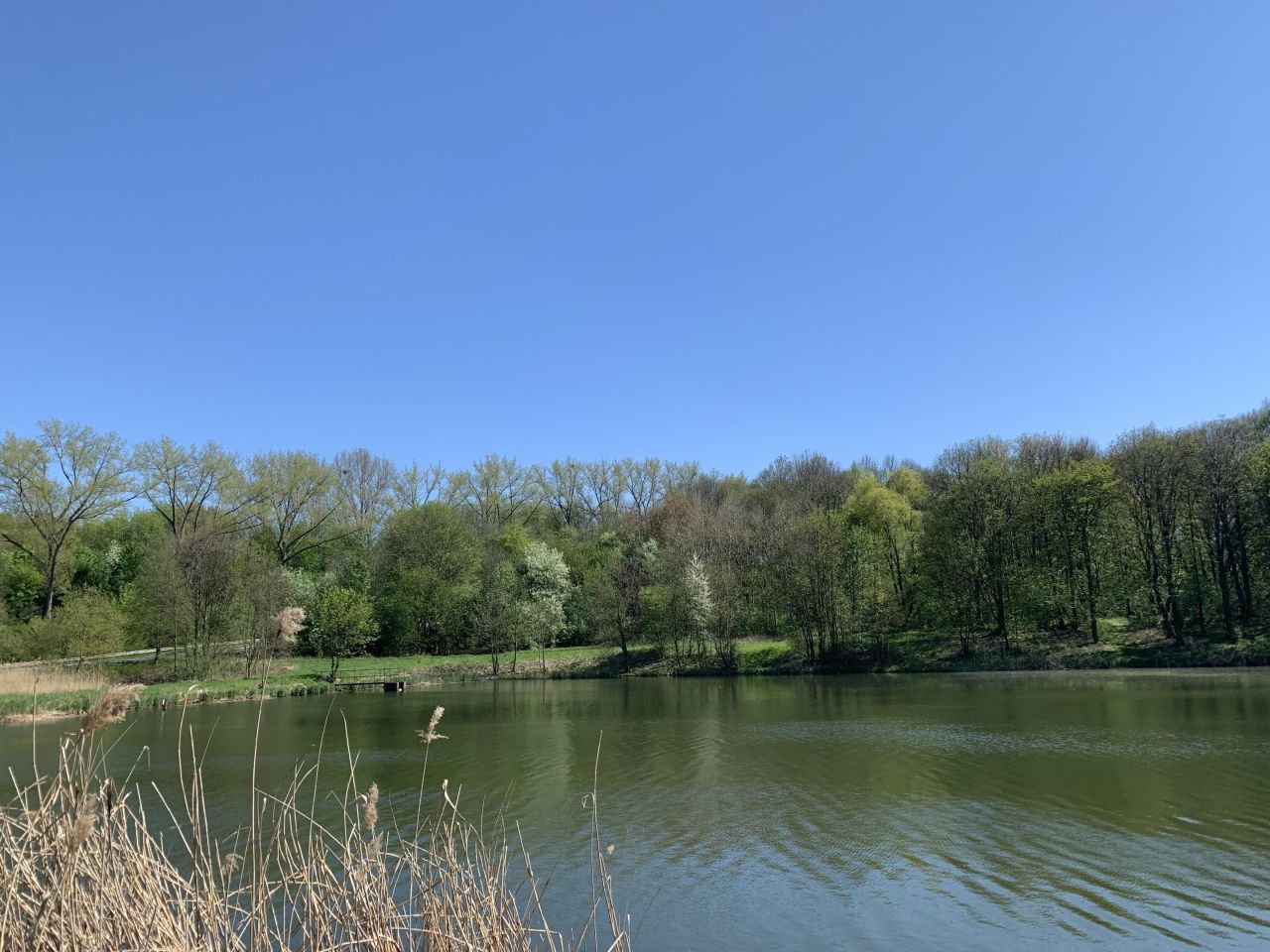 Działka rolno-budowlana Lwowiany, Glowna. Zdjęcie 1