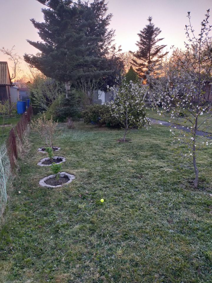 Działka rod Polkowice. Zdjęcie 2