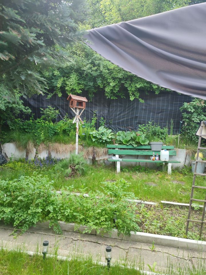 Działka rod Siemianowice Śląskie, ul. Niepodległości. Zdjęcie 8