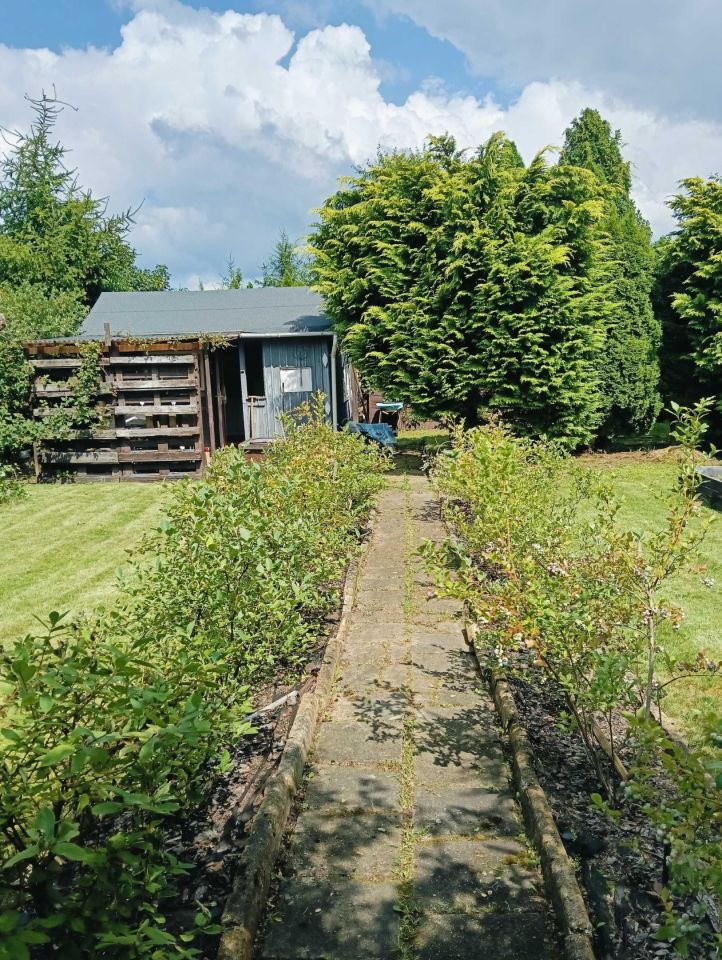 Działka rod Klebark Mały. Zdjęcie 2