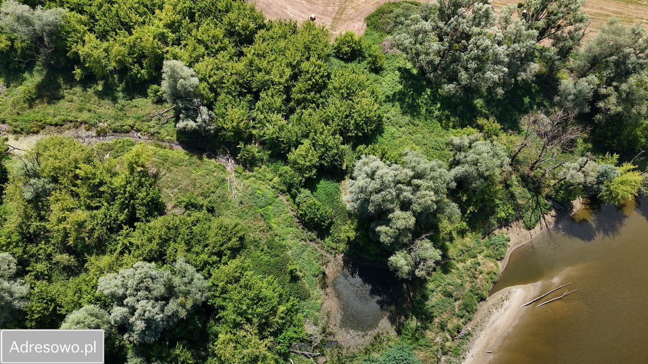 Działka rolno-budowlana Gorzewnica. Zdjęcie 12