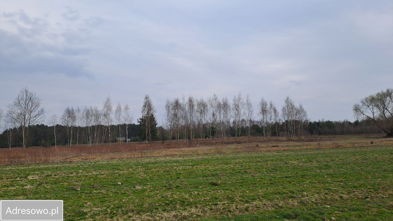 Działka rolno-budowlana Kąck, ul. Myśliwska. Zdjęcie 8