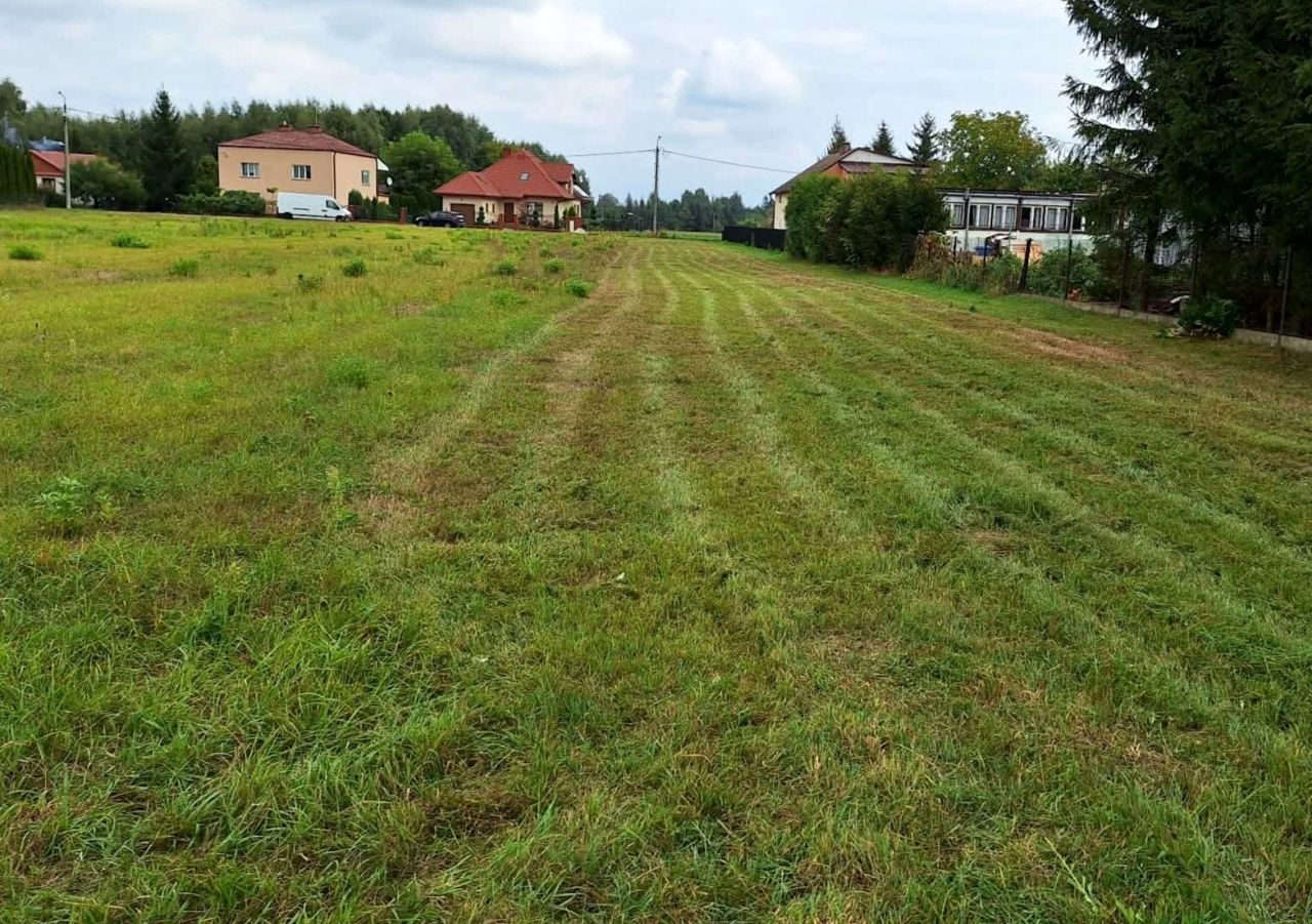 Tontti, 6000 m²