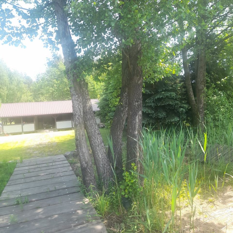 Działka budowlana Guty Rożyńskie. Zdjęcie 6