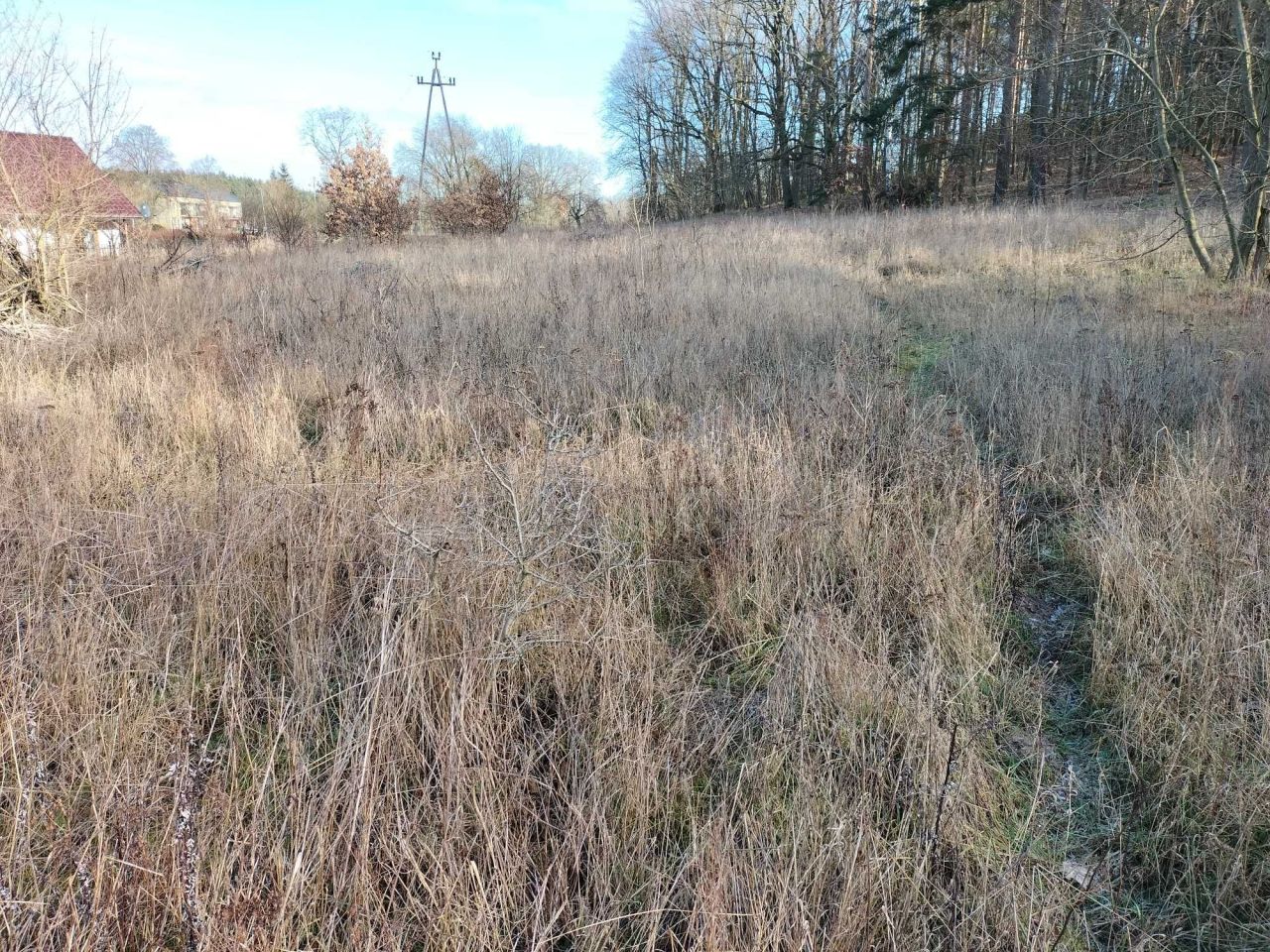 Działka budowlana Mierzęcin. Zdjęcie 4