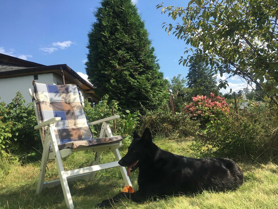 Działka rod Warszawa Wawer. Zdjęcie 7