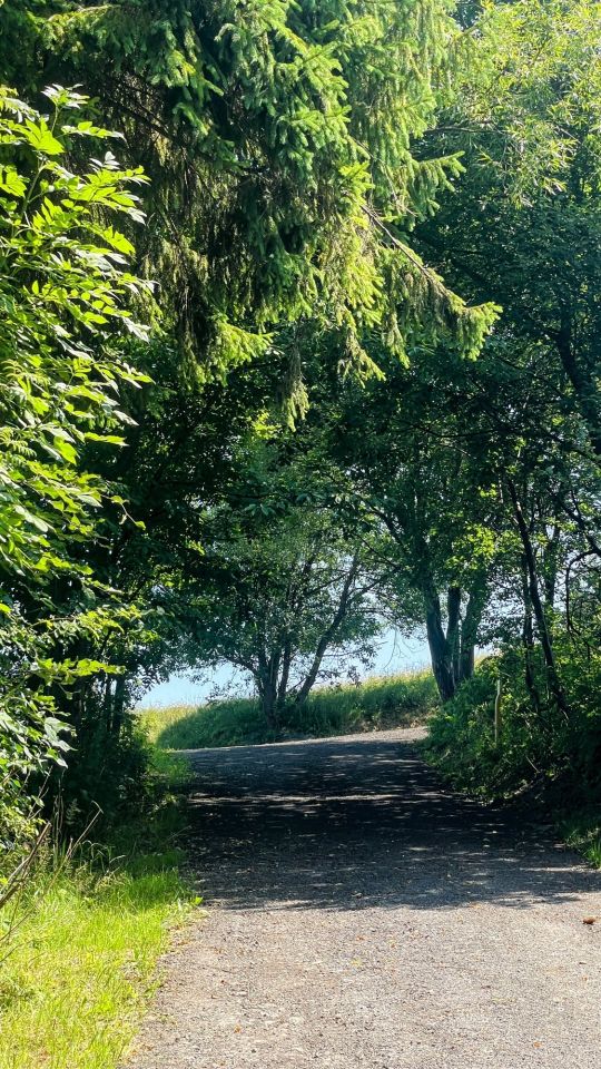 dom wolnostojący Krynica-Zdrój Słotwiny. Zdjęcie 22