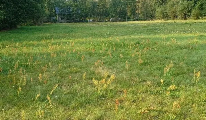 Działka budowlana Czubajowizna