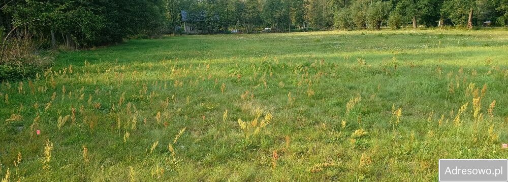 Działka budowlana Czubajowizna