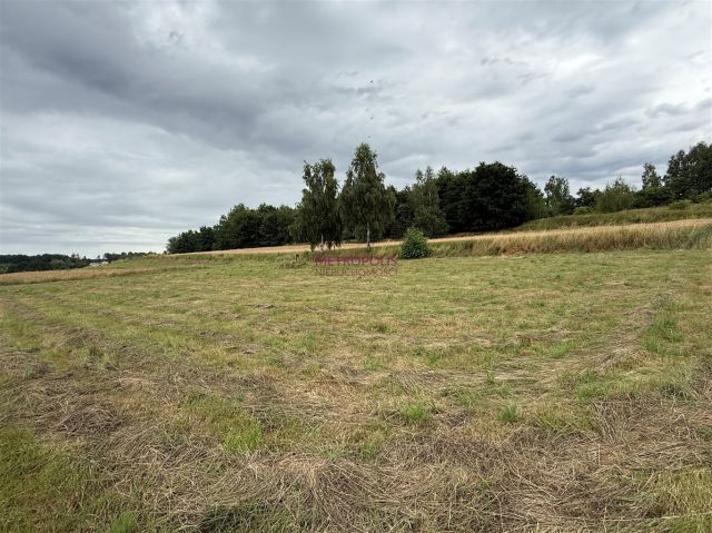 Działka Gaszowice. Zdjęcie 5