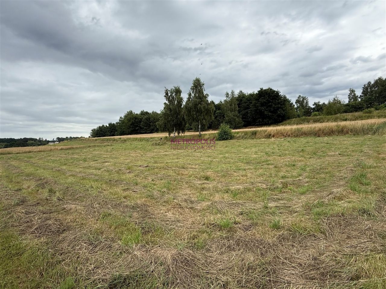 Działka Gaszowice. Zdjęcie 5