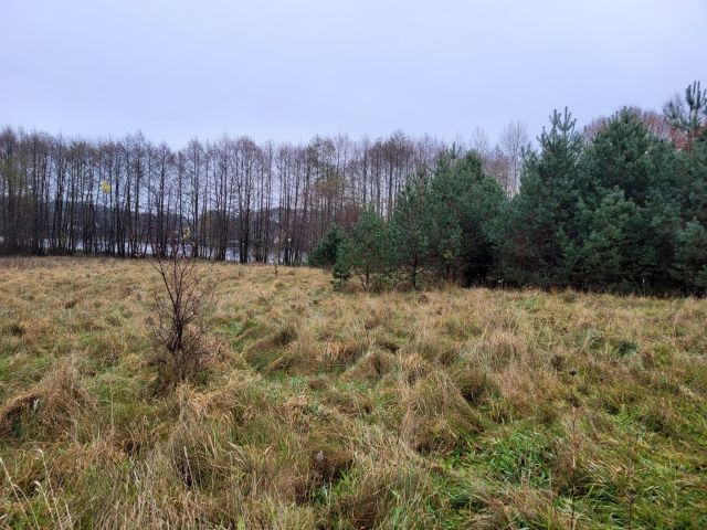 Działka rekreacyjna Jasień. Zdjęcie 1