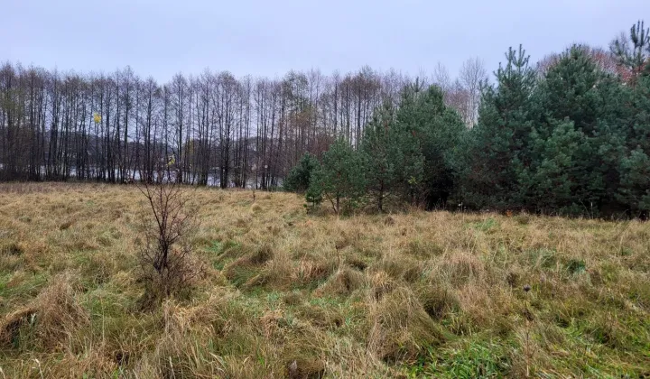 Działka rekreacyjna Jasień