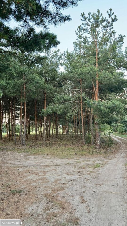 Działka budowlana Głębockie Pierwsze. Zdjęcie 20